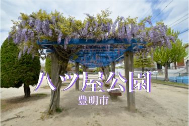 赤いジャングルジムと紫の藤の花　八ツ屋公園（豊明市）